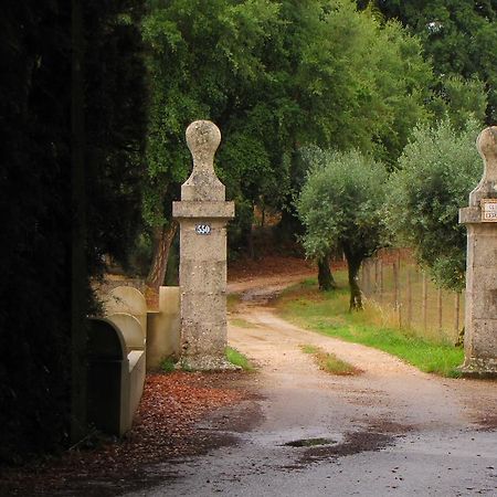 Вилла Quinta Do Cerquito Феррейра-ду-Зезери Экстерьер фото