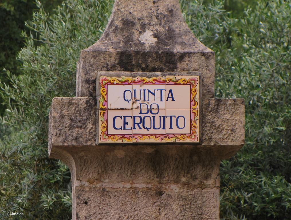 Вилла Quinta Do Cerquito Феррейра-ду-Зезери Экстерьер фото