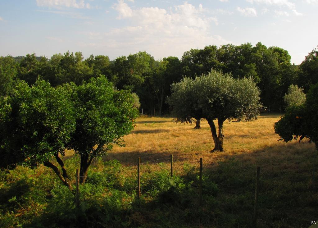 Вилла Quinta Do Cerquito Феррейра-ду-Зезери Экстерьер фото