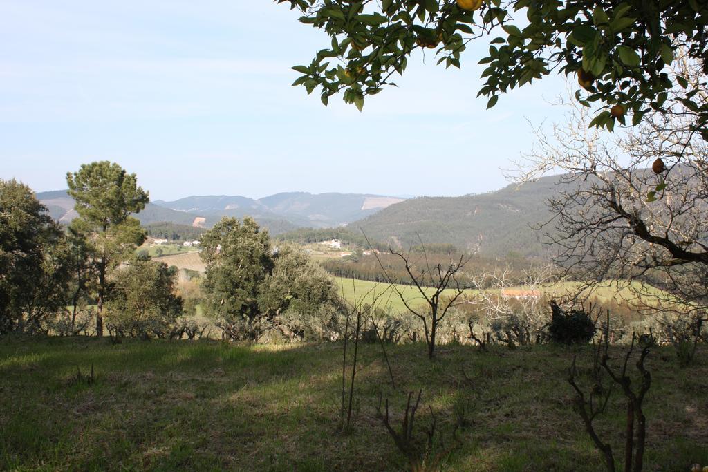Вилла Quinta Do Cerquito Феррейра-ду-Зезери Экстерьер фото